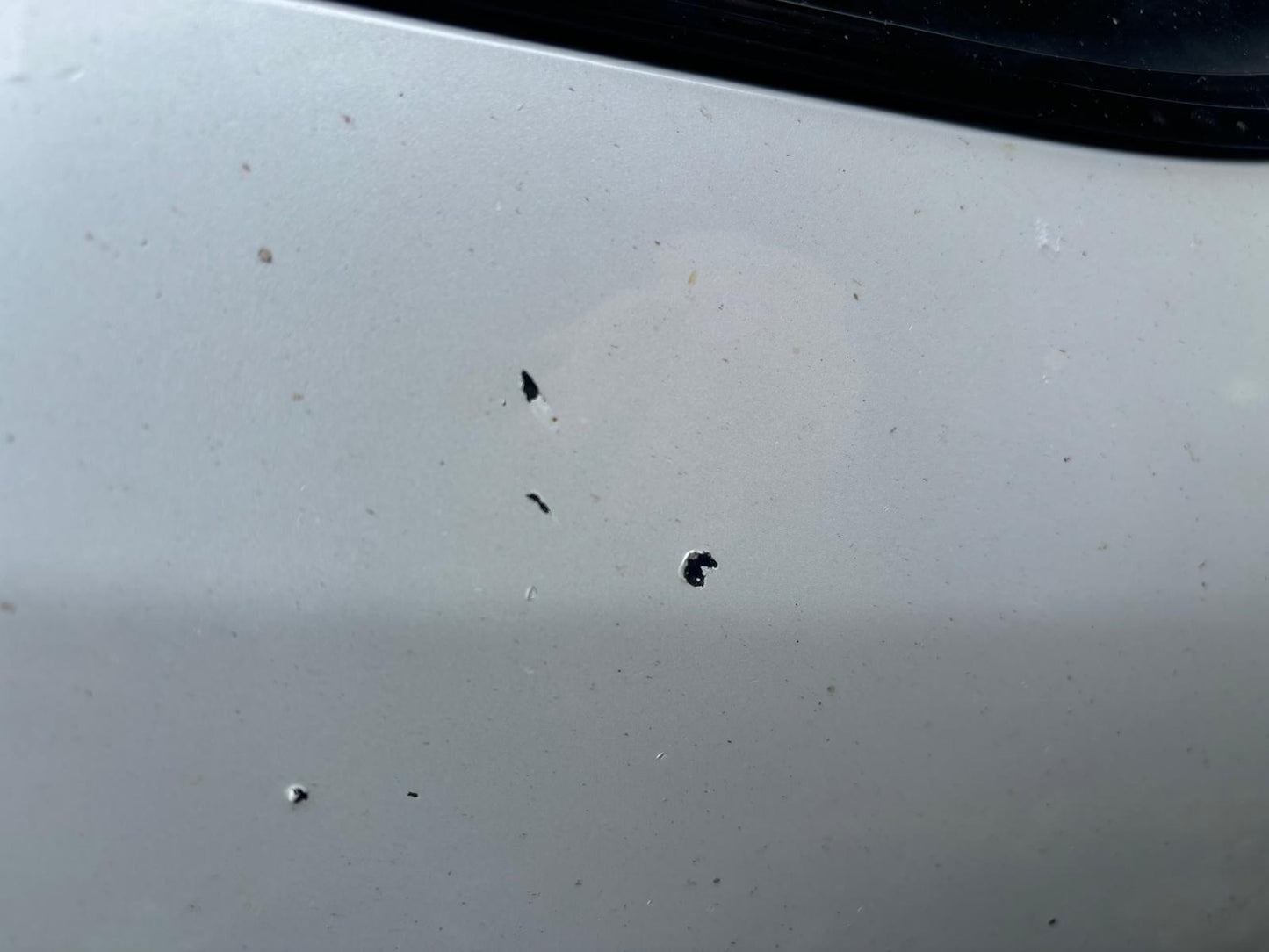 Tesla Model 3 Standard rwd Plus